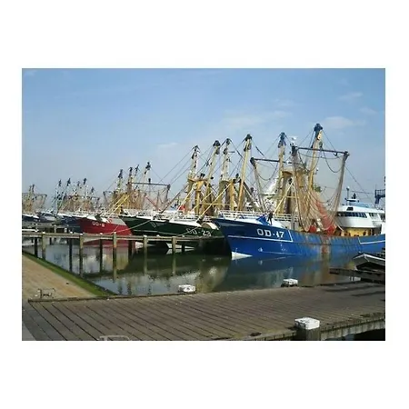 Huijsmansverhuur Ouddorp